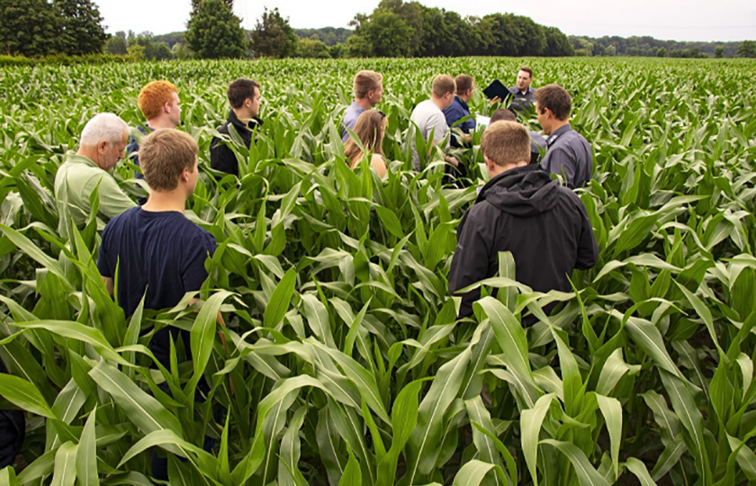 Read more about the article Bringing precision farming to life – MyDataPlant invited to the first field day
